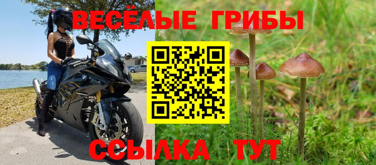 Псилоцибиновые грибы Cubensis Пушкино