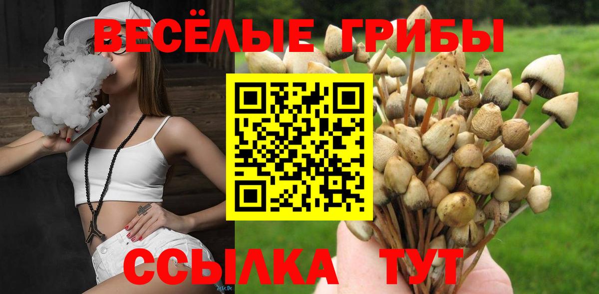 Галлюциногенные грибы Magic Shrooms  Вход с VPN  Пушкино 