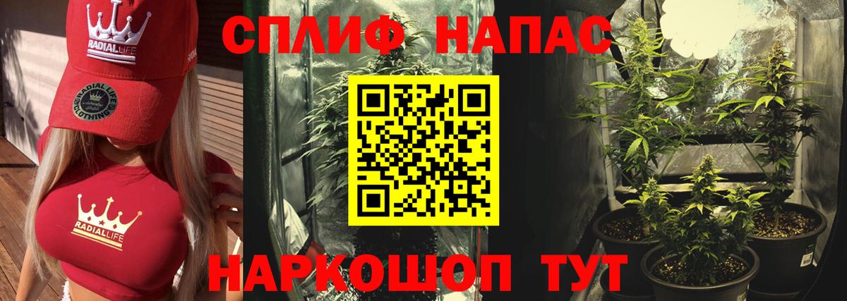 МАРИХУАНА план Пушкино